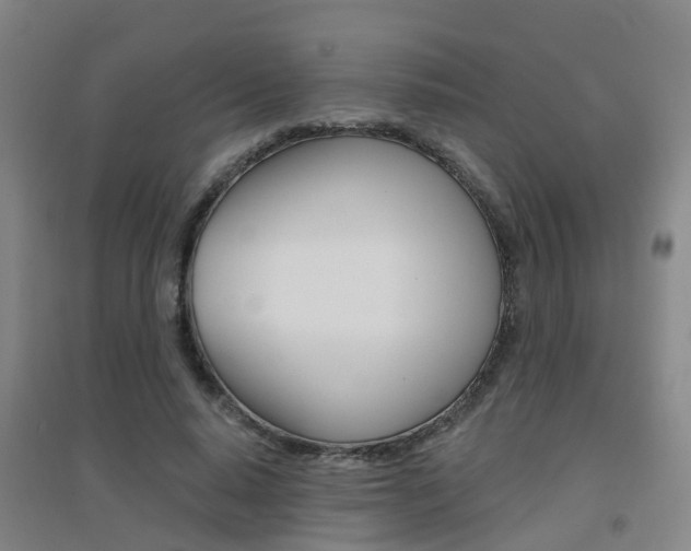 X0000094460640200711081100