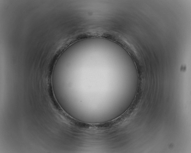 X0000094460641200711081100