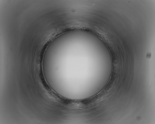 X0000094460642200711081100