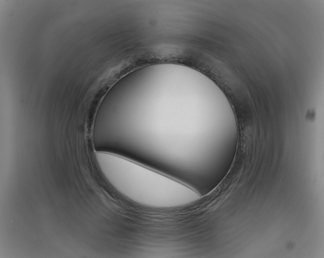 X0000094460644200711081100