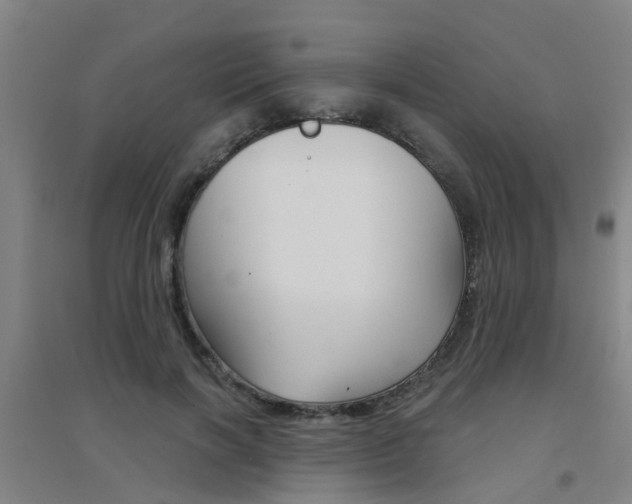 X0000094460646200711081100