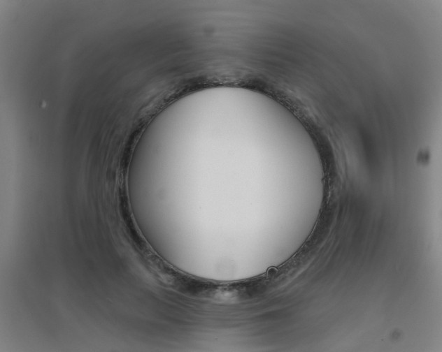X0000094460647200711081100