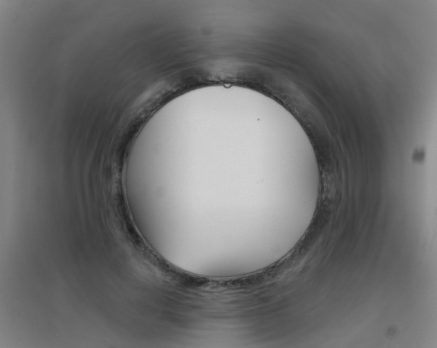 X0000094460648200711081100