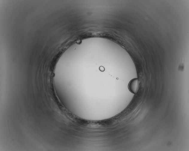 X0000094460650200711081100