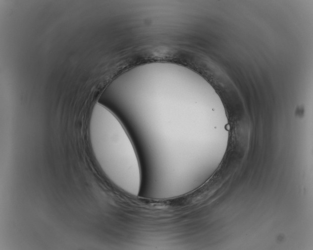 X0000094460651200711081100