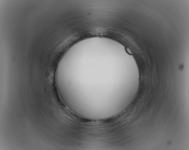 X0000094460652200711081100