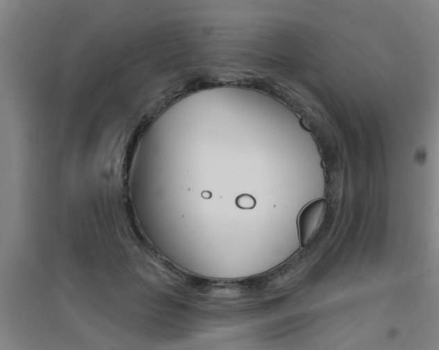 X0000094460653200711081100