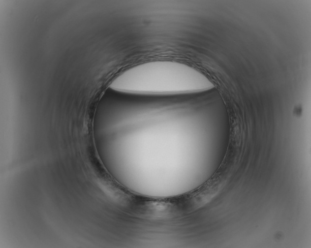 X0000094460654200711081100