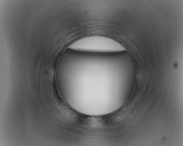X0000094460660200711081100