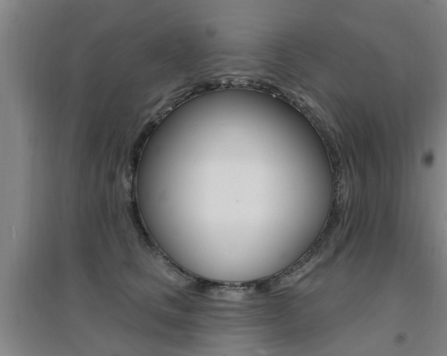X0000094460661200711081100