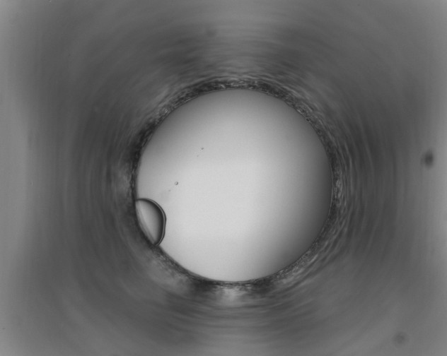 X0000094460662200711081100