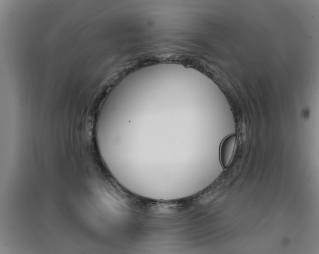 X0000094460664200711081100