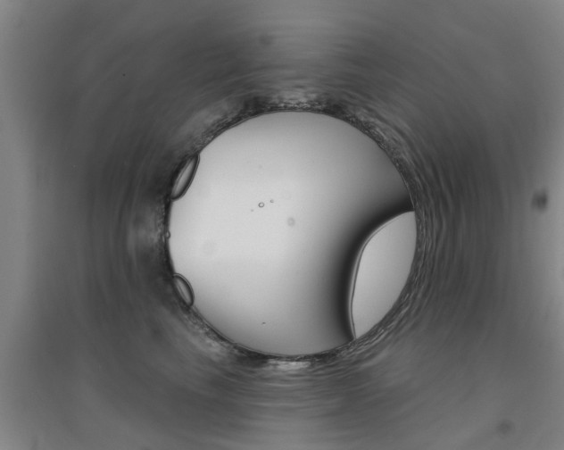 X0000094460665200711081100