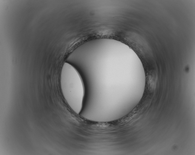 X0000094460668200711081100