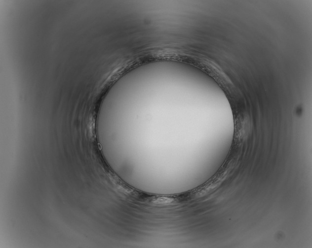 X0000094460669200711081100