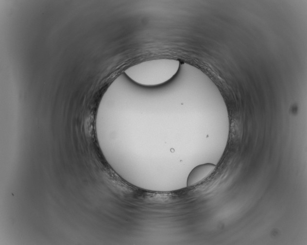 X0000094460671200711081100
