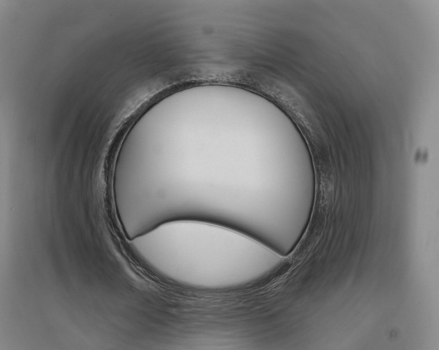 X0000094460674200711081059