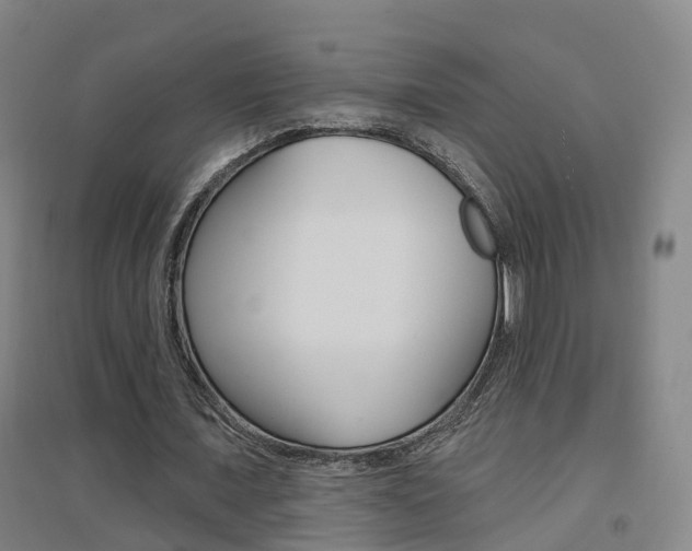 X0000094460675200711081059