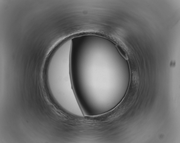 X0000094460676200711081059