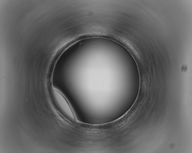 X0000094460677200711081059
