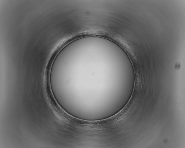 X0000094460678200711081059