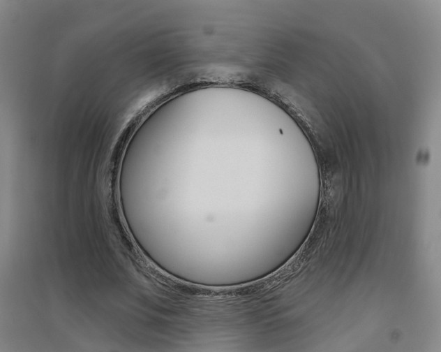 X0000094460679200711081059