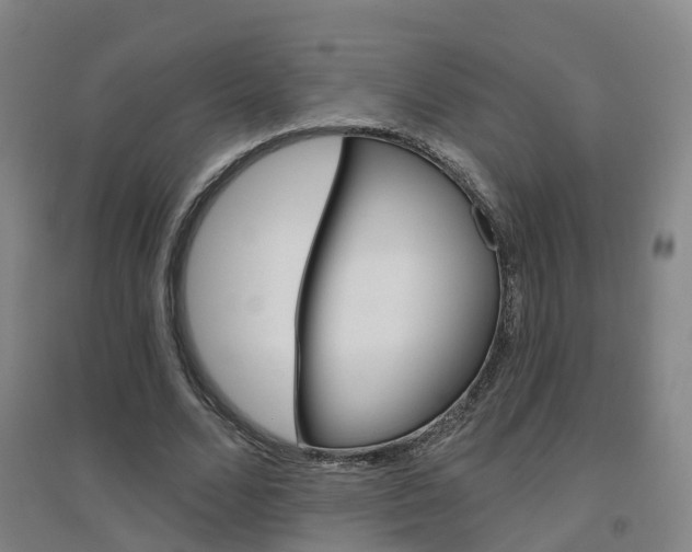 X0000094460680200711081059