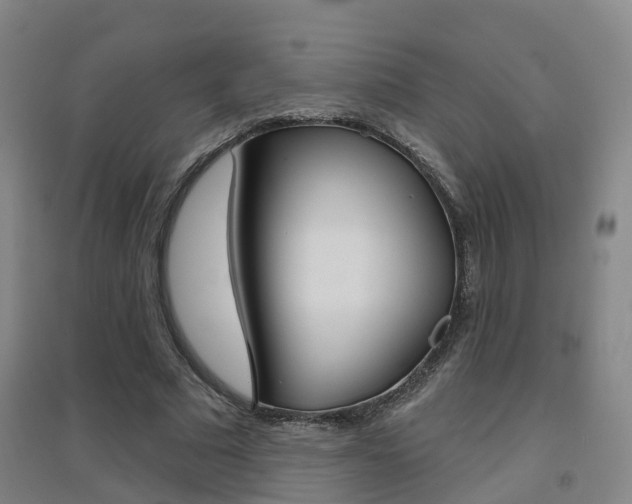 X0000094460681200711081059