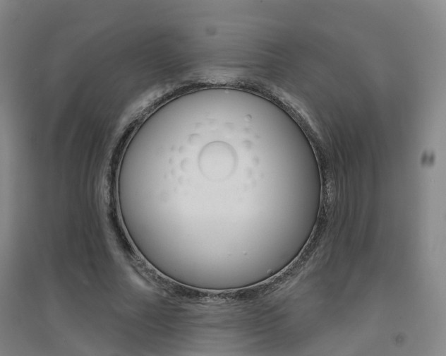 X0000094460682200711081059