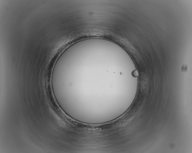 X0000094460683200711081059