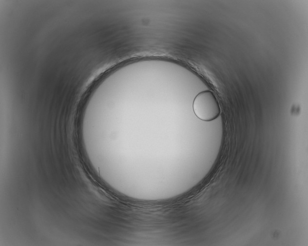 X0000094460684200711081059