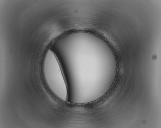 X0000094460685200711081059