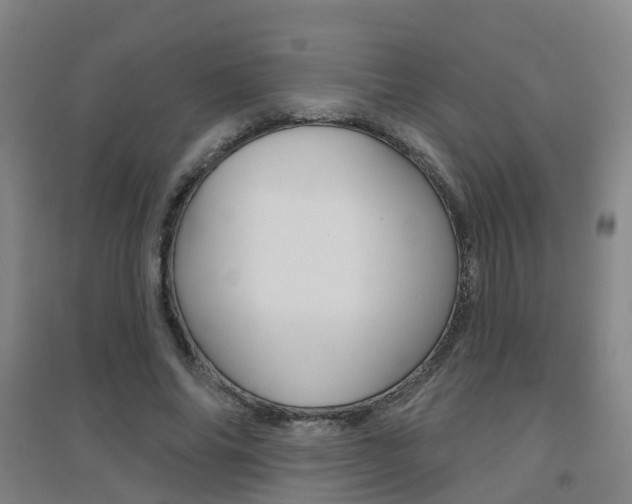 X0000094460686200711081059