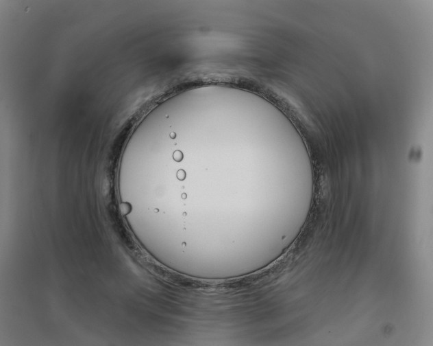 X0000094460687200711081059