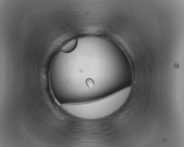 X0000094460688200711081059