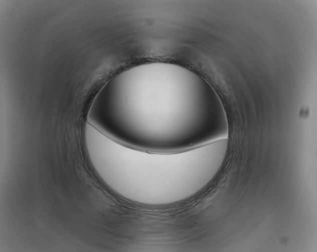 X0000094460689200711081059