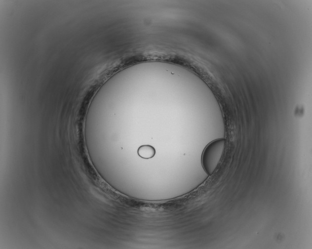 X0000094460690200711081059