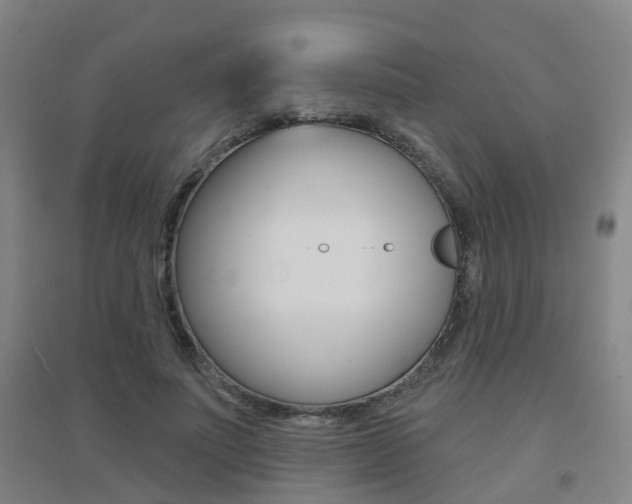 X0000094460691200711081059