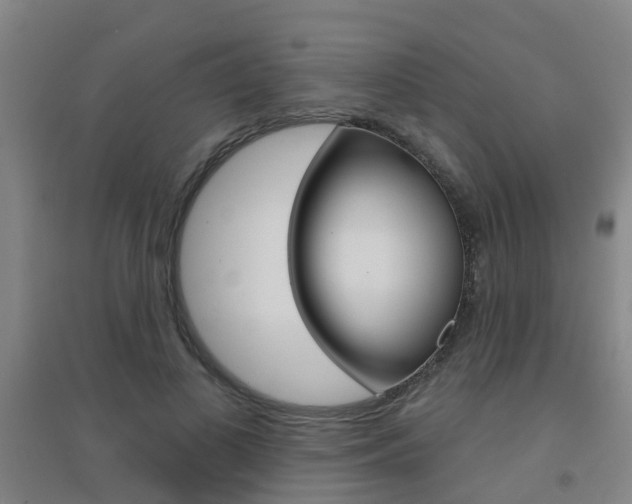 X0000094460693200711081059