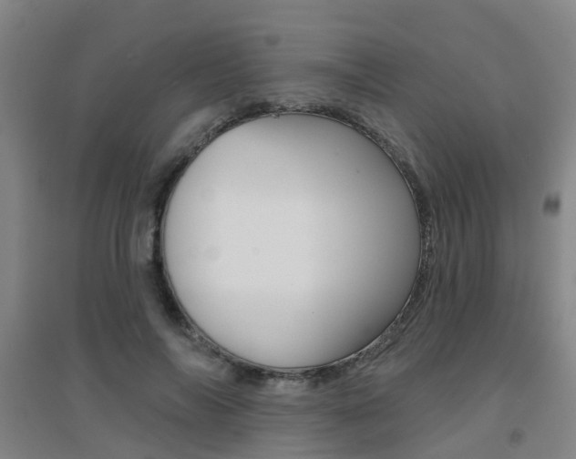 X0000094460694200711081059