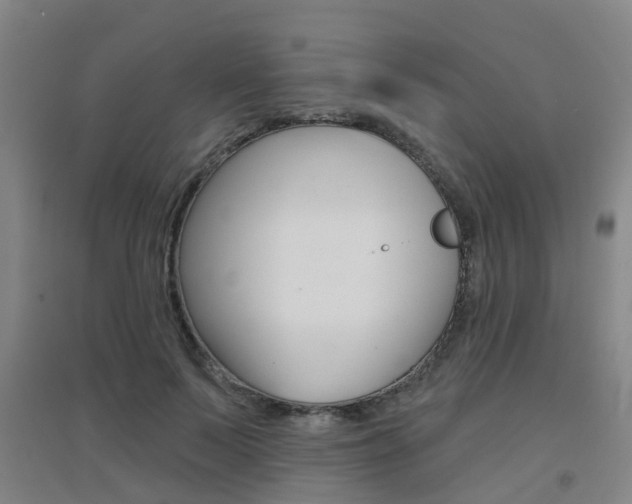 X0000094460695200711081059