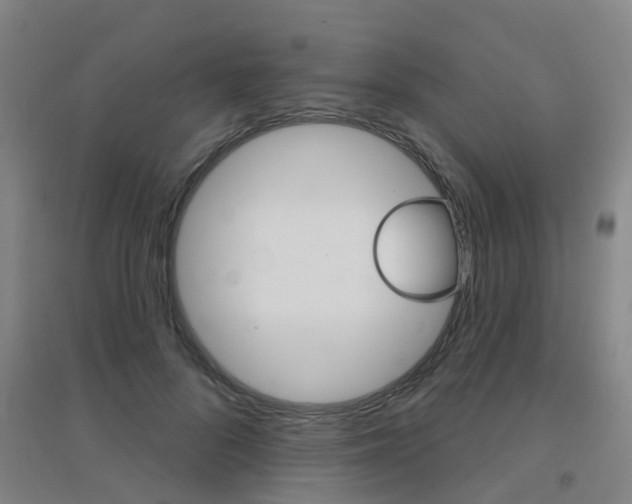 X0000094460696200711081059