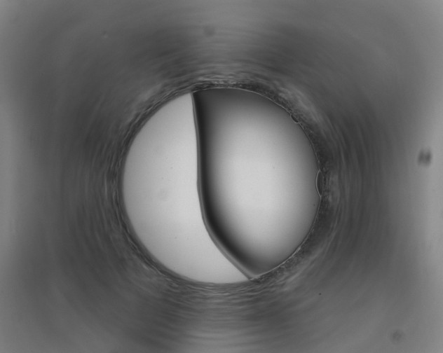 X0000094460697200711081059