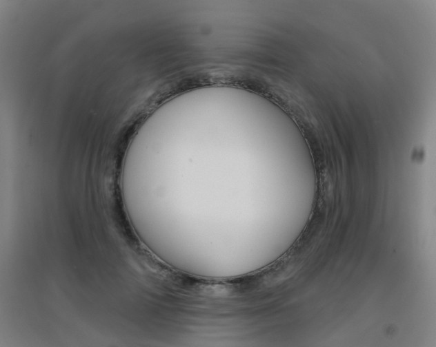 X0000094460698200711081059