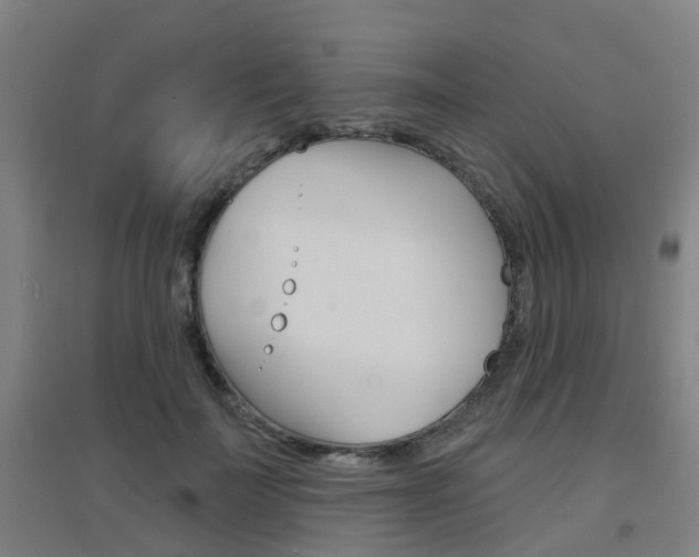 X0000094460699200711081059