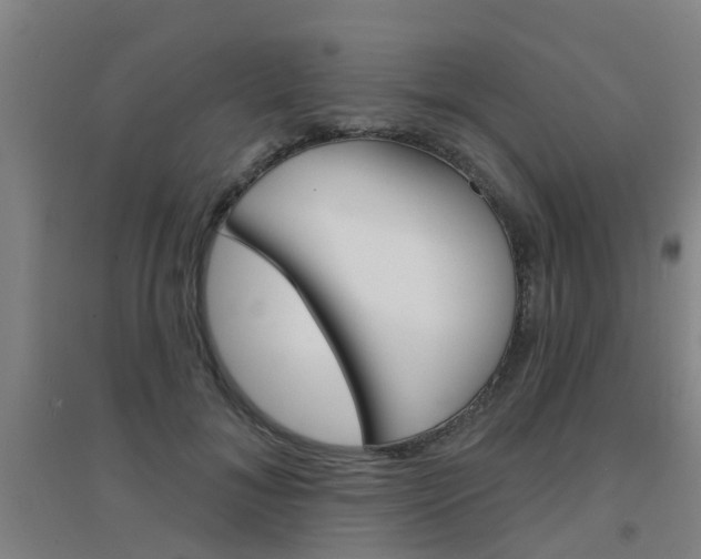 X0000094460700200711081059