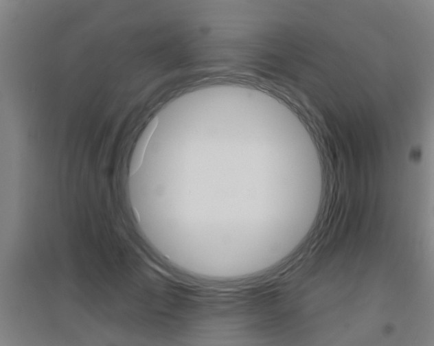 X0000094460701200711081059