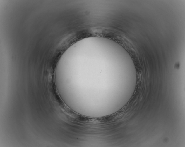X0000094460702200711081059