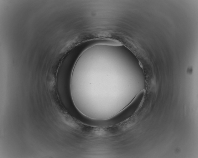 X0000094460704200711081059