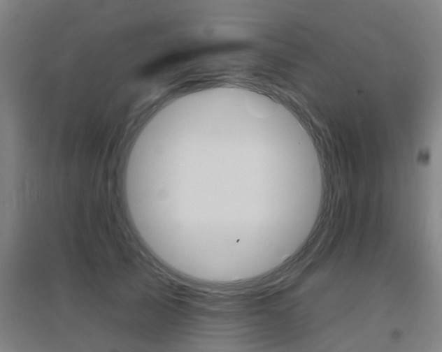 X0000094460705200711081059
